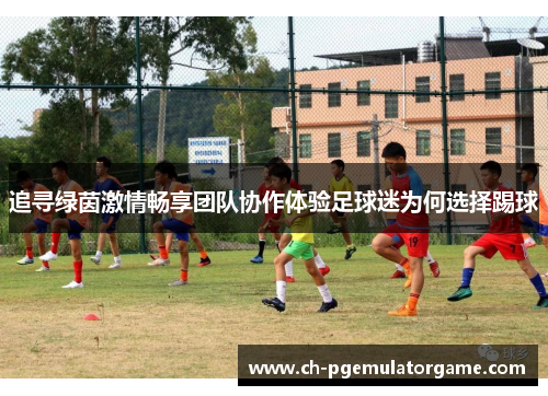 追寻绿茵激情畅享团队协作体验足球迷为何选择踢球